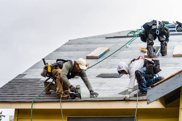 Professional Gutter Installation technician working in Harlingen, TX
